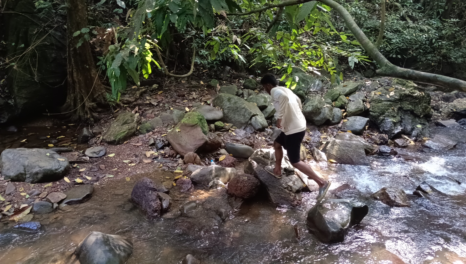 Trekking Activity